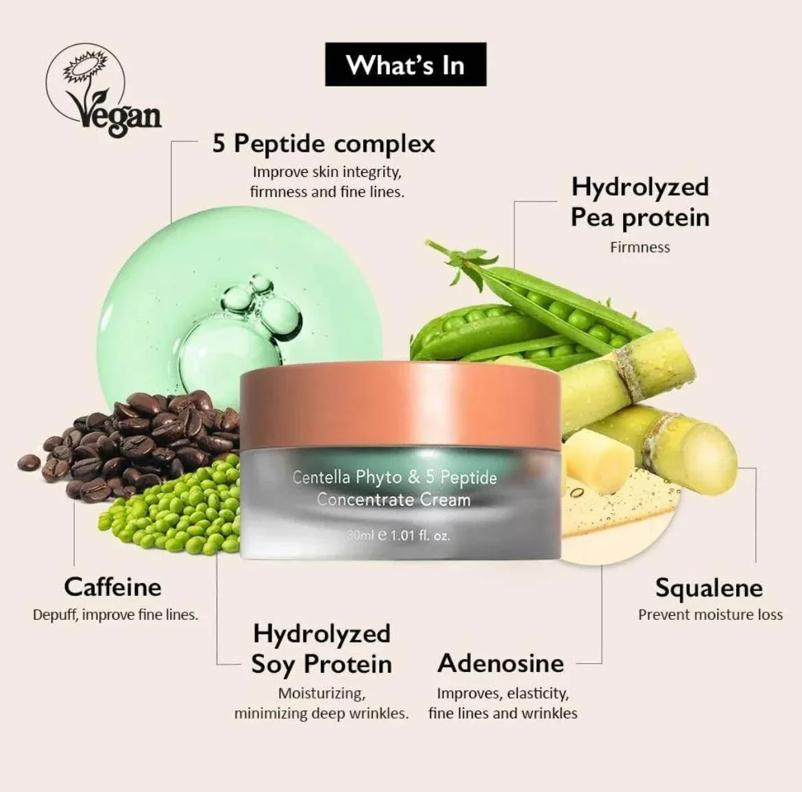 Haruharu Wonder - Centella Phyto & 5 Peptide Concentrate Cream 30ml - Image 2