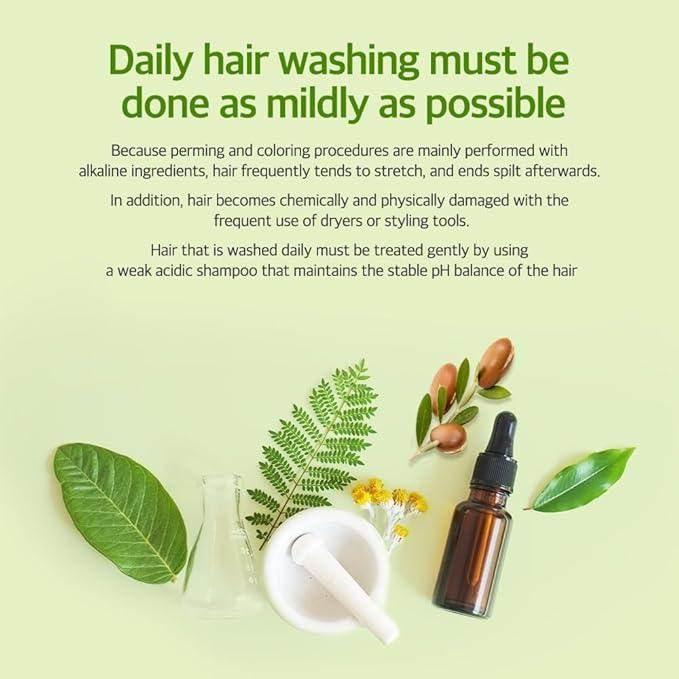 Kerasys - Tea Tree Oil Shampoo 1000ml - Image 3