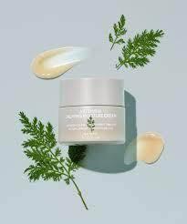Missha - Artemisia Calming Cream 50ml - Image 2