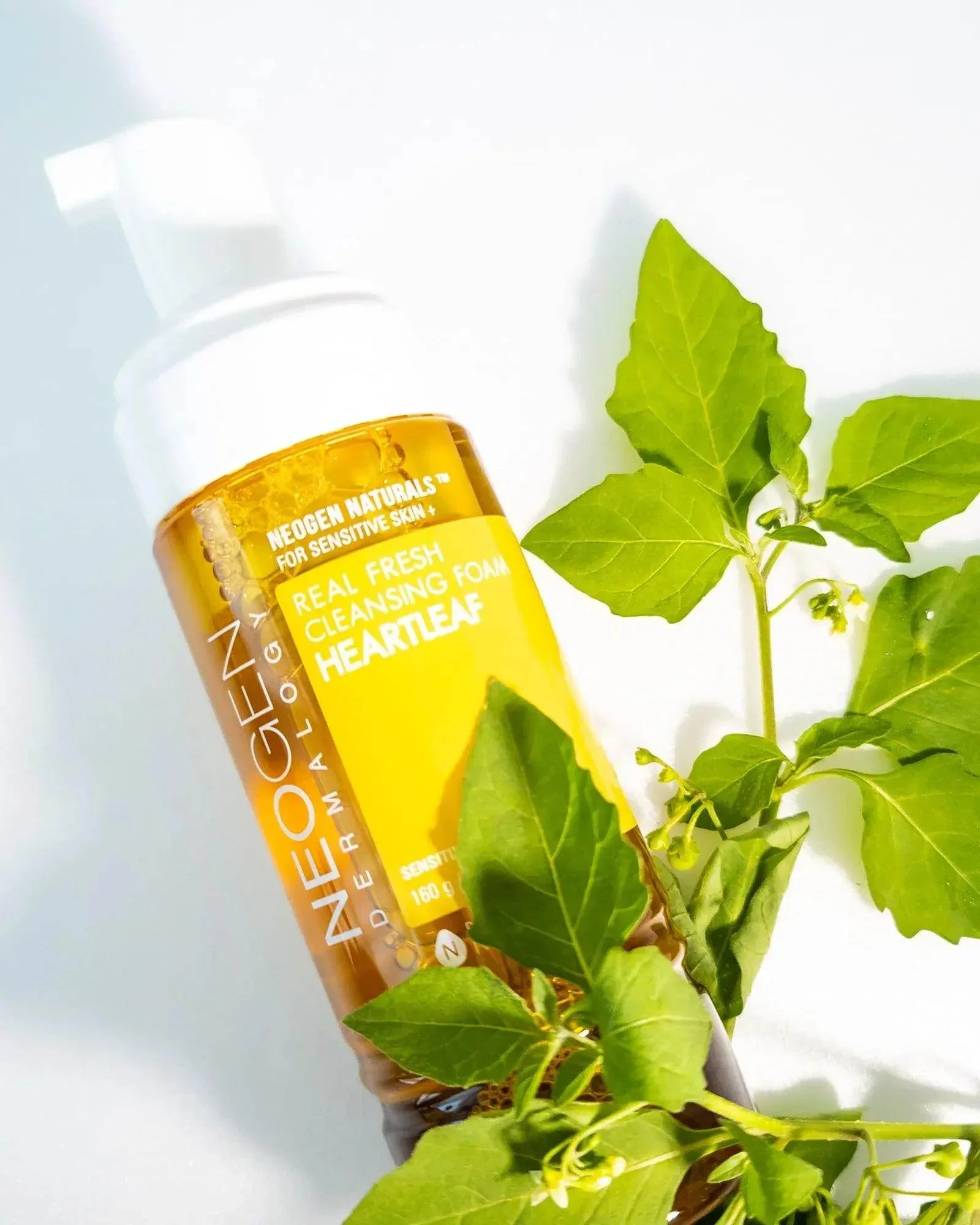 Neogen Real Fresh Foam Heartleaf 160ml - Image 3