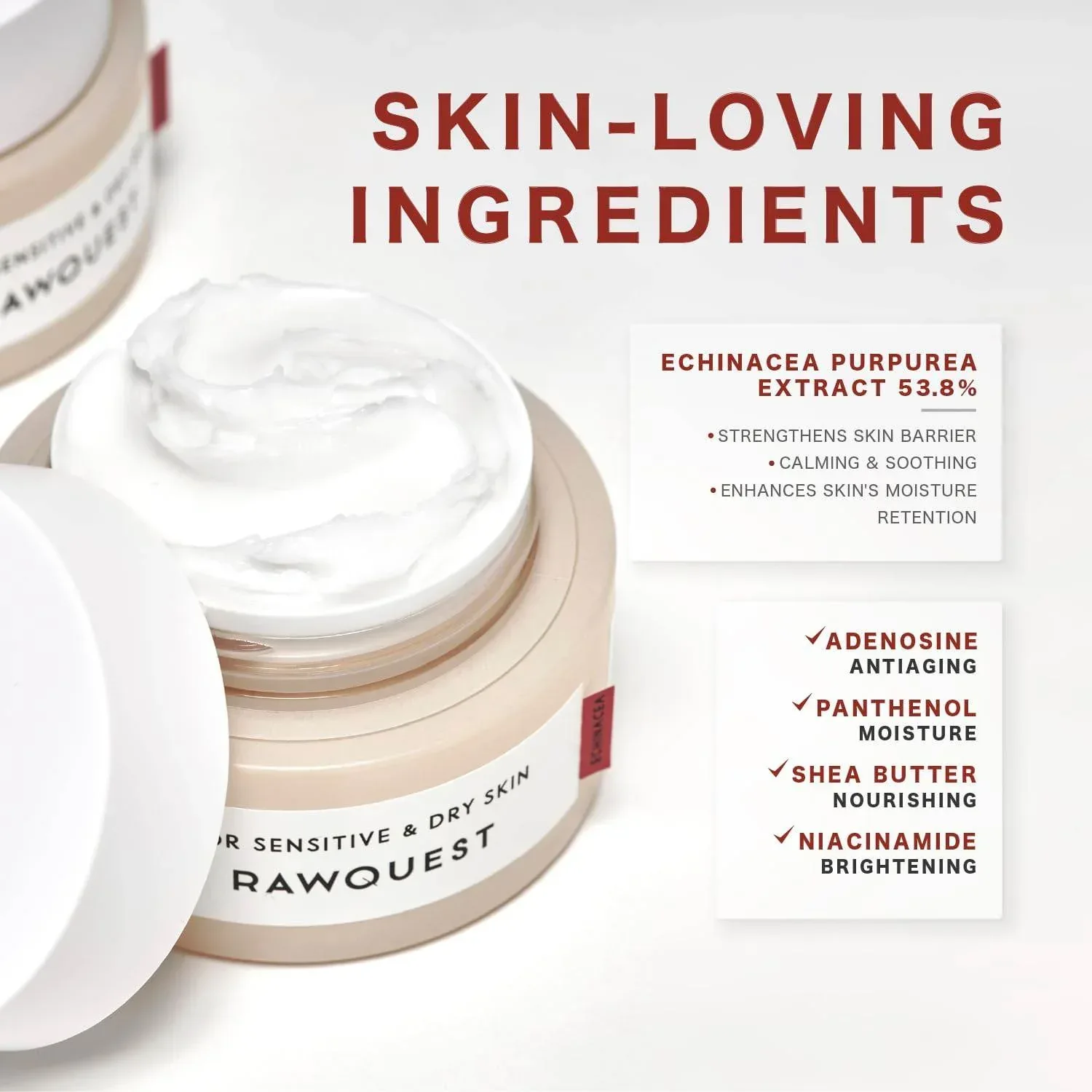 Rawquest - Echinacea Calming Moisture Gel Cream 50ml - Image 4