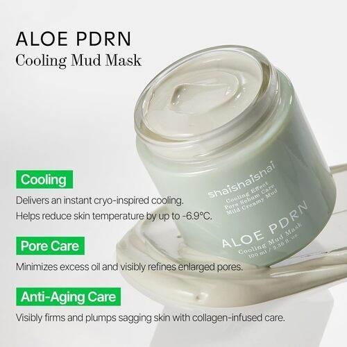 Shaishaishai - Aloe PDRN Mud Mask 100ml - Image 3