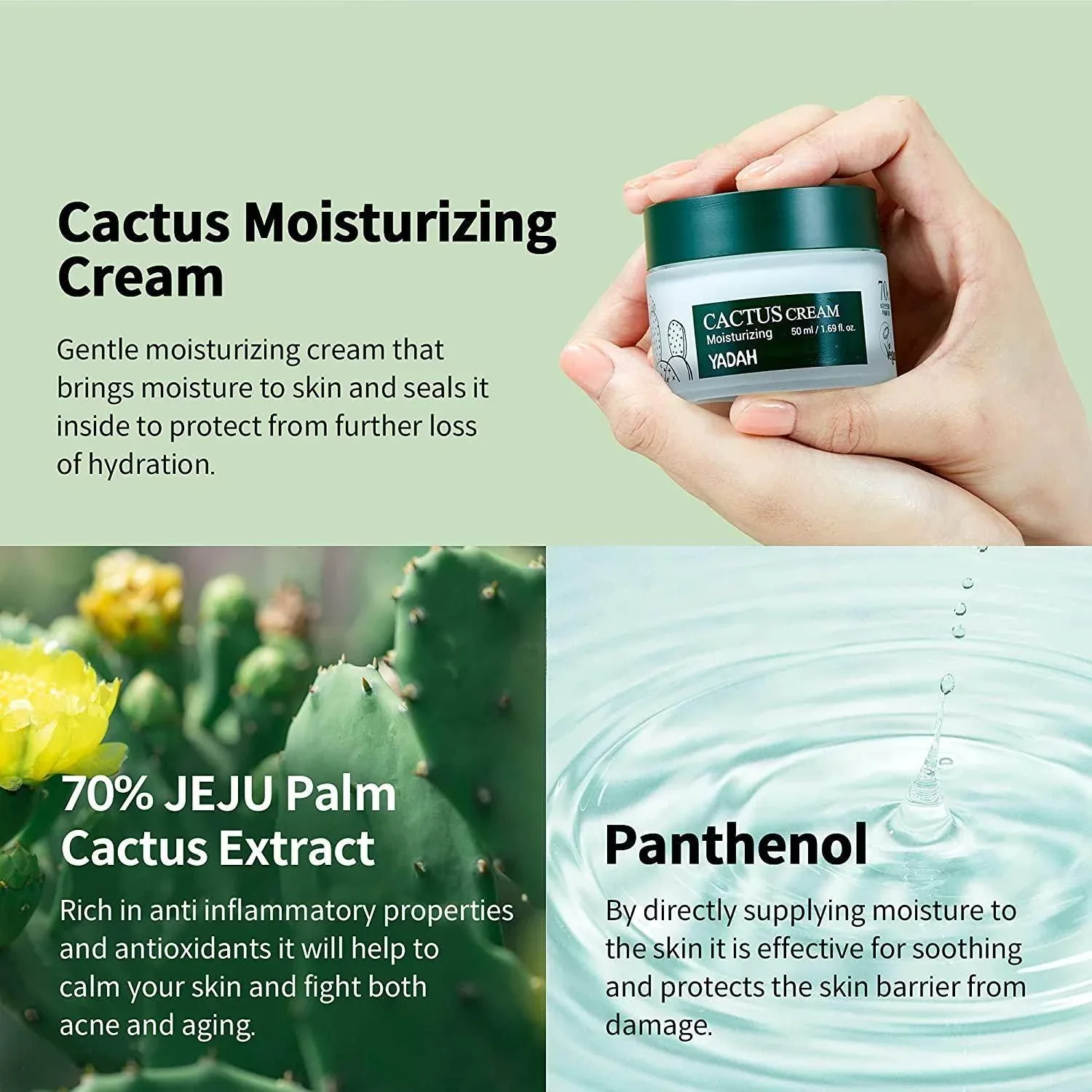 Yadah - Cactus Moisturizing Cream 50ml - Image 3